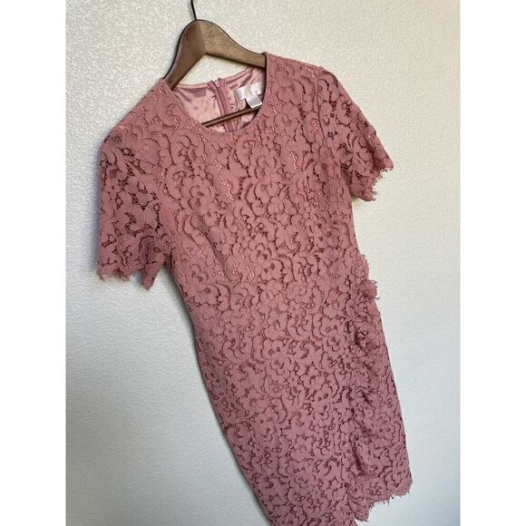 Rachel Parcell Pink Lace Dress Size Medium Knee Length Short Sleeve Ruffle - Picture 3 of 8